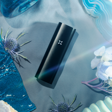 Load image into Gallery viewer, Pax 3 Basic Kit
