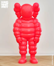 Load image into Gallery viewer, Kaws - What Party
