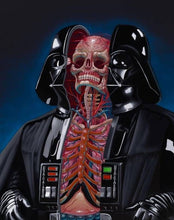 Load image into Gallery viewer, Nychos - Darth Vader

